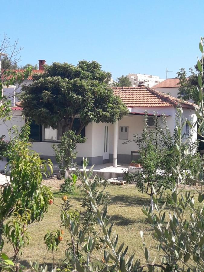 הוילה ספליט Smokvica מראה חיצוני תמונה